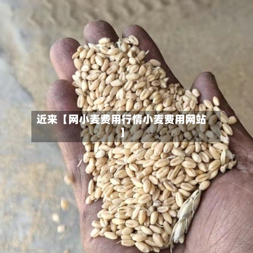 近来【网小麦费用行情小麦费用网站】