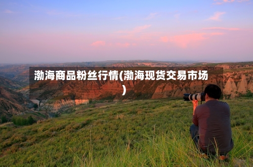 渤海商品粉丝行情(渤海现货交易市场)