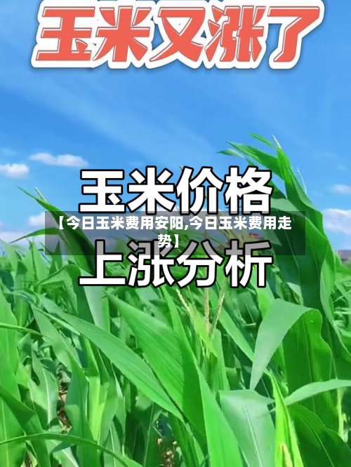 【今日玉米费用安阳,今日玉米费用走势】-第2张图片