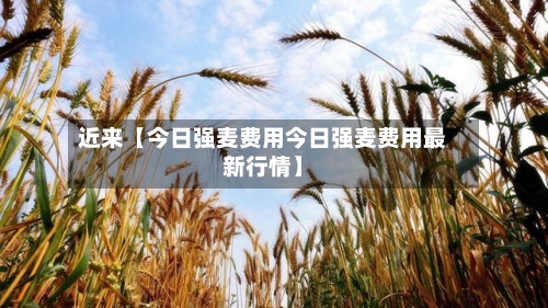 近来【今日强麦费用今日强麦费用最新行情】-第2张图片