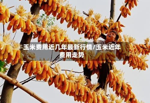 玉米费用近几年最新行情/玉米近年费用走势-第2张图片