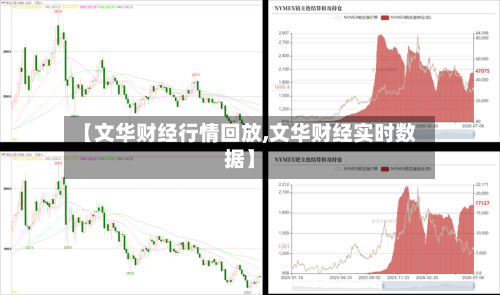 【文华财经行情回放,文华财经实时数据】