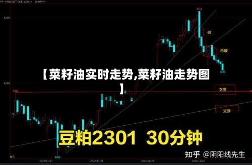 【菜籽油实时走势,菜籽油走势图】-第2张图片
