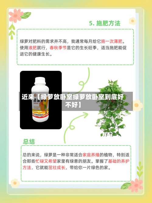 近来【绿萝放卧室绿萝放卧室到底好不好】