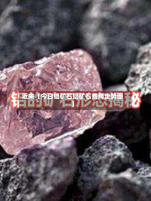 近来【今日铝矿石铝矿石费用走势图】