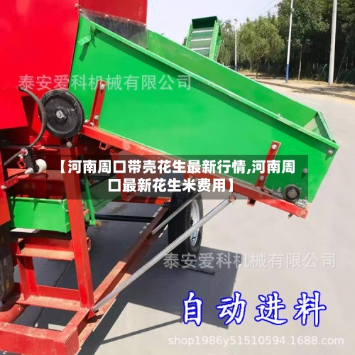 【河南周口带壳花生最新行情,河南周口最新花生米费用】-第2张图片