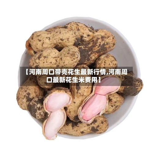 【河南周口带壳花生最新行情,河南周口最新花生米费用】
