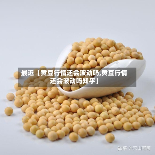 最近【黄豆行情还会波动吗,黄豆行情还会波动吗知乎】