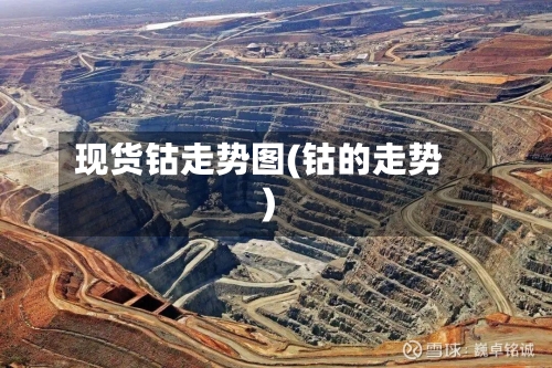 现货钴走势图(钴的走势)