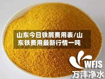 山东今日铁屑费用表/山东铁费用最新行情一吨-第3张图片