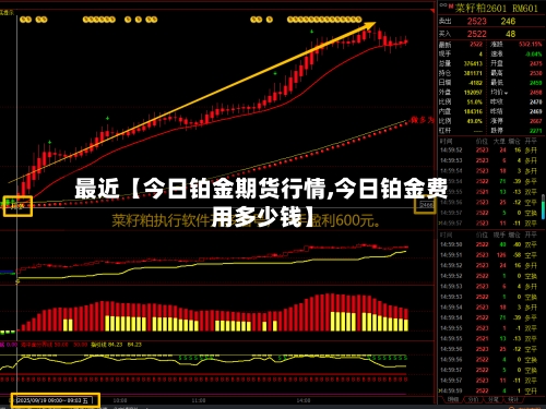 最近【今日铂金期货行情,今日铂金费用多少钱】-第2张图片