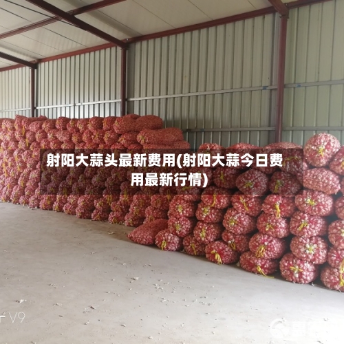 射阳大蒜头最新费用(射阳大蒜今日费用最新行情)
