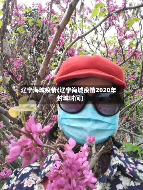 辽宁海城疫情(辽宁海城疫情2020年封城时间)