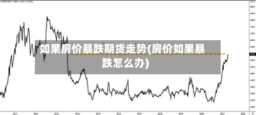 如果房价暴跌期货走势(房价如果暴跌怎么办)