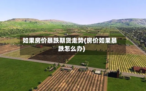 如果房价暴跌期货走势(房价如果暴跌怎么办)-第2张图片