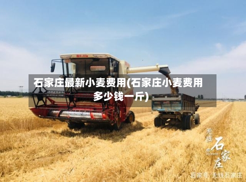 石家庄最新小麦费用(石家庄小麦费用多少钱一斤)
