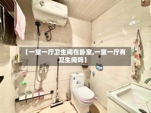 【一室一厅卫生间在卧室,一室一厅有卫生间吗】