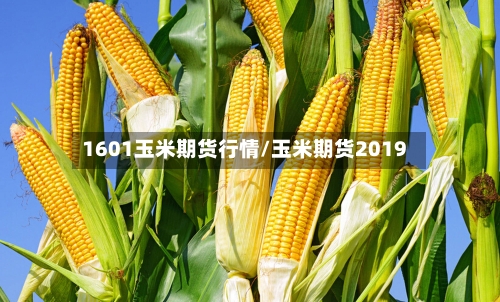 1601玉米期货行情/玉米期货2019