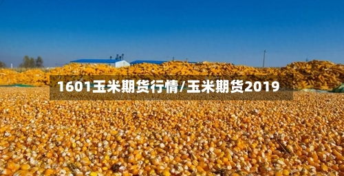 1601玉米期货行情/玉米期货2019-第3张图片