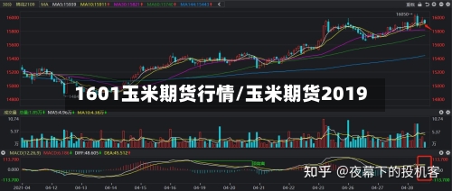 1601玉米期货行情/玉米期货2019-第2张图片