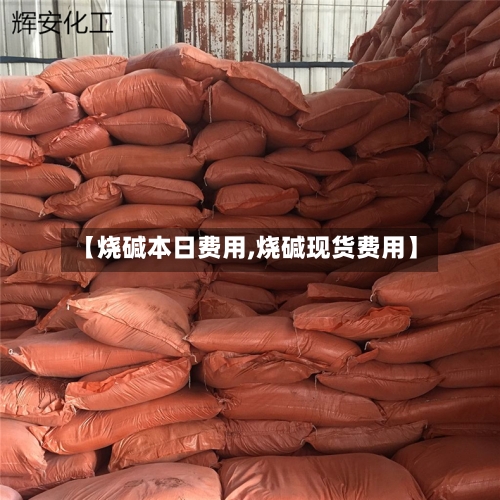 【烧碱本日费用,烧碱现货费用】-第2张图片