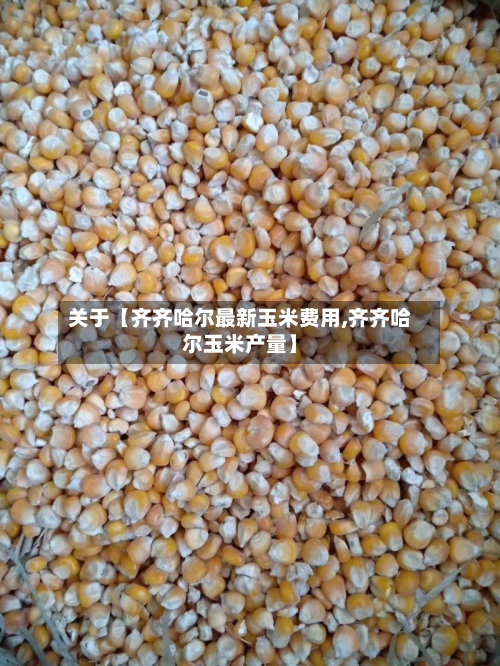 关于【齐齐哈尔最新玉米费用,齐齐哈尔玉米产量】