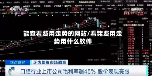 能查看费用走势的网站/看铑费用走势用什么软件