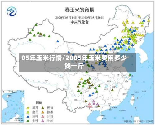 05年玉米行情/2005年玉米费用多少钱一斤-第2张图片