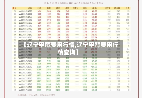 【辽宁甲醇费用行情,辽宁甲醇费用行情查询】