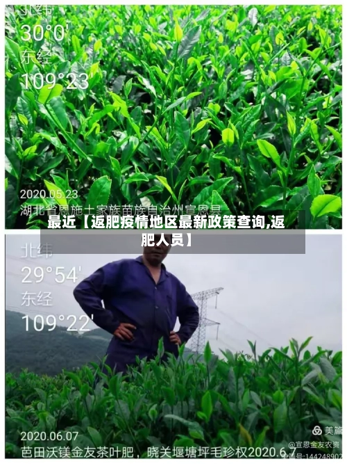最近【返肥疫情地区最新政策查询,返肥人员】-第3张图片