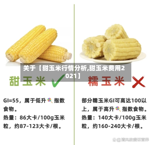 关于【甜玉米行情分析,甜玉米费用2021】-第2张图片