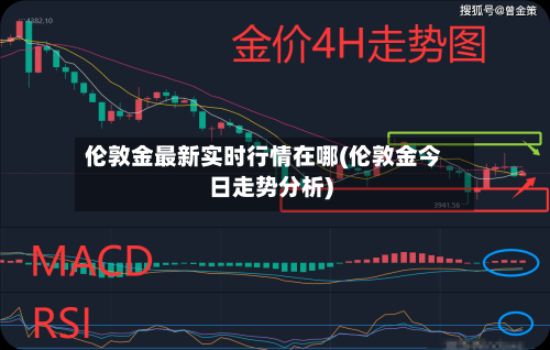 伦敦金最新实时行情在哪(伦敦金今日走势分析)