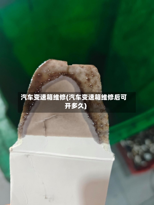 汽车变速箱维修(汽车变速箱维修后可开多久)-第2张图片