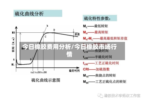 今日橡胶费用分析/今日橡胶市场行情
