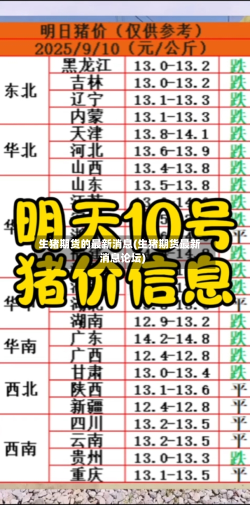 生猪期货的最新消息(生猪期货最新消息论坛)-第3张图片