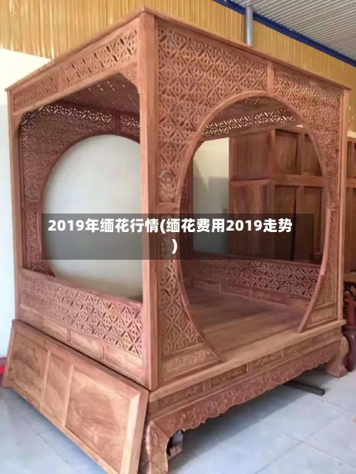 2019年缅花行情(缅花费用2019走势)-第2张图片