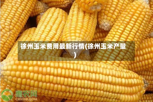 徐州玉米费用最新行情(徐州玉米产量)