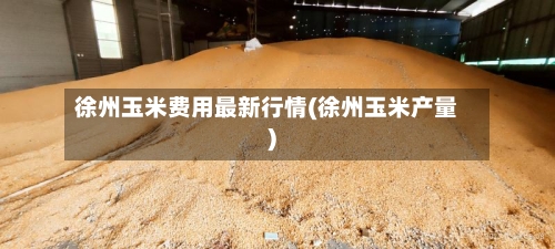 徐州玉米费用最新行情(徐州玉米产量)-第2张图片