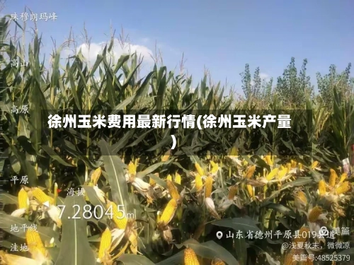 徐州玉米费用最新行情(徐州玉米产量)-第3张图片
