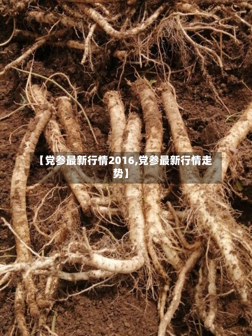 【党参最新行情2016,党参最新行情走势】