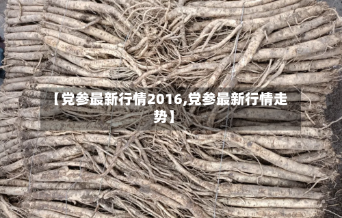 【党参最新行情2016,党参最新行情走势】-第3张图片