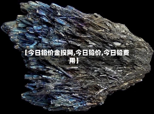 【今日铅价金投网,今日铅价,今日铅费用】-第3张图片