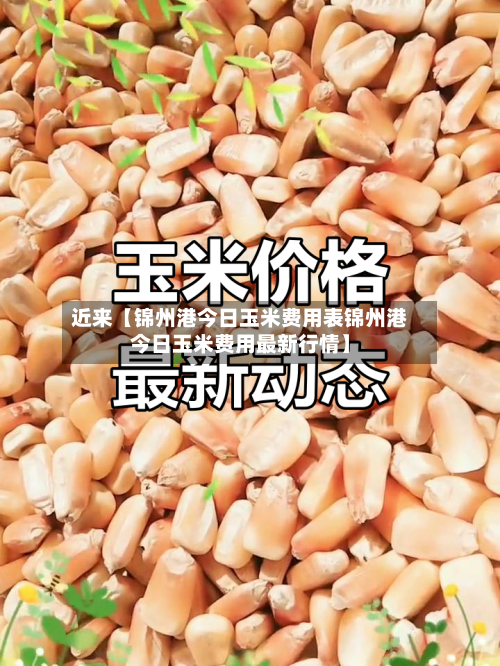 近来【锦州港今日玉米费用表锦州港今日玉米费用最新行情】-第3张图片