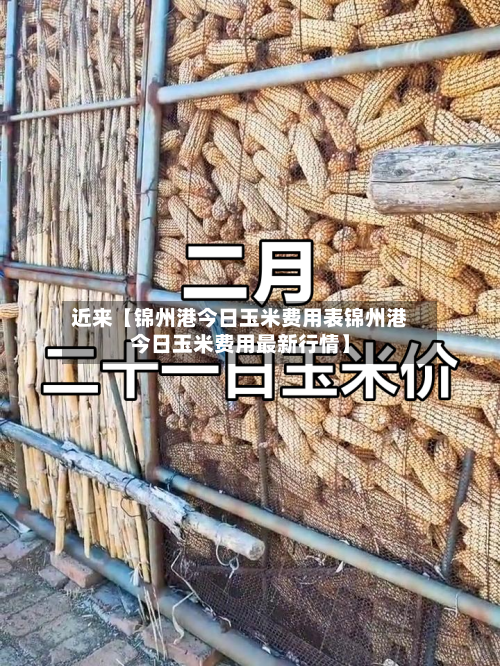近来【锦州港今日玉米费用表锦州港今日玉米费用最新行情】-第2张图片