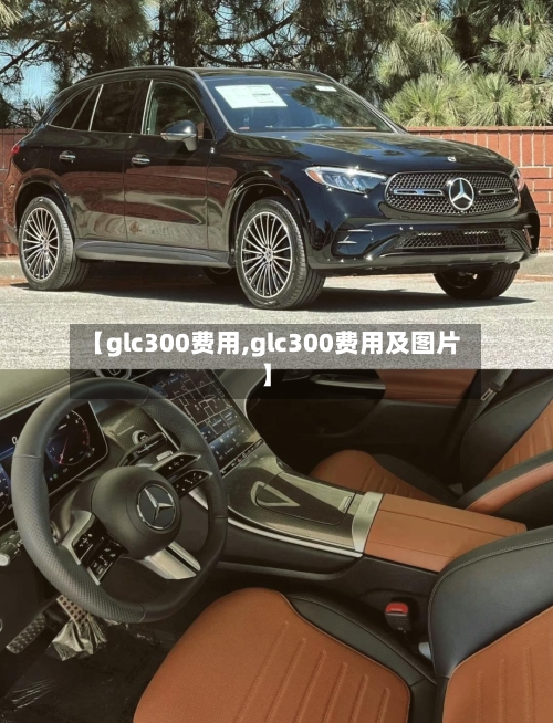 【glc300费用,glc300费用及图片】-第3张图片