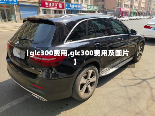 【glc300费用,glc300费用及图片】-第2张图片