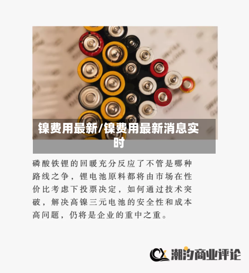 镍费用最新/镍费用最新消息实时-第2张图片