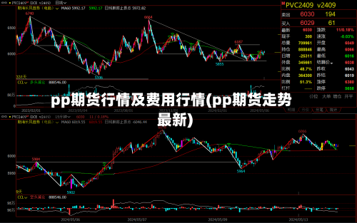 pp期货行情及费用行情(pp期货走势最新)-第2张图片