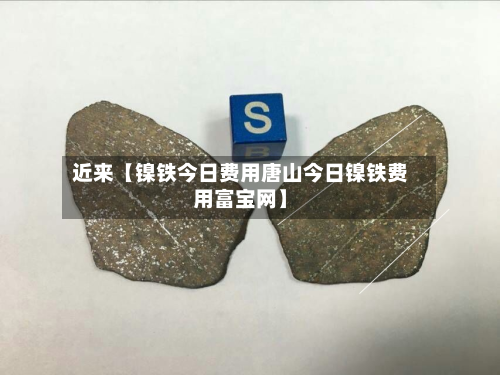 近来【镍铁今日费用唐山今日镍铁费用富宝网】