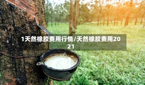 1天然橡胶费用行情/天然橡胶费用2021-第2张图片
